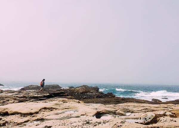Point Lobos, by thewoksoflife.com