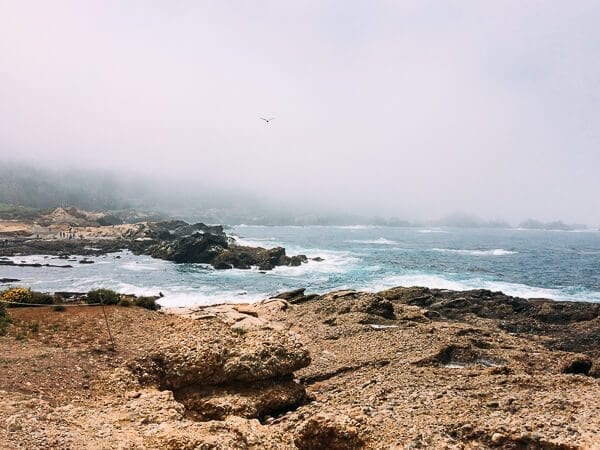 Point Lobos, by thewoksoflife.com