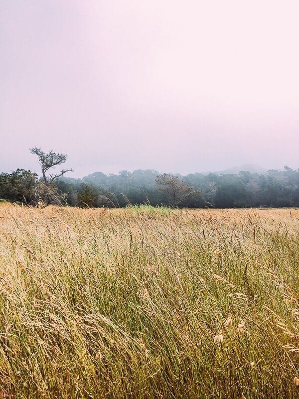 Point Lobos, by thewoksoflife.com