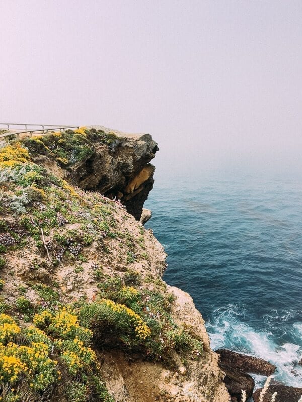 Point Lobos, by thewoksoflife.com