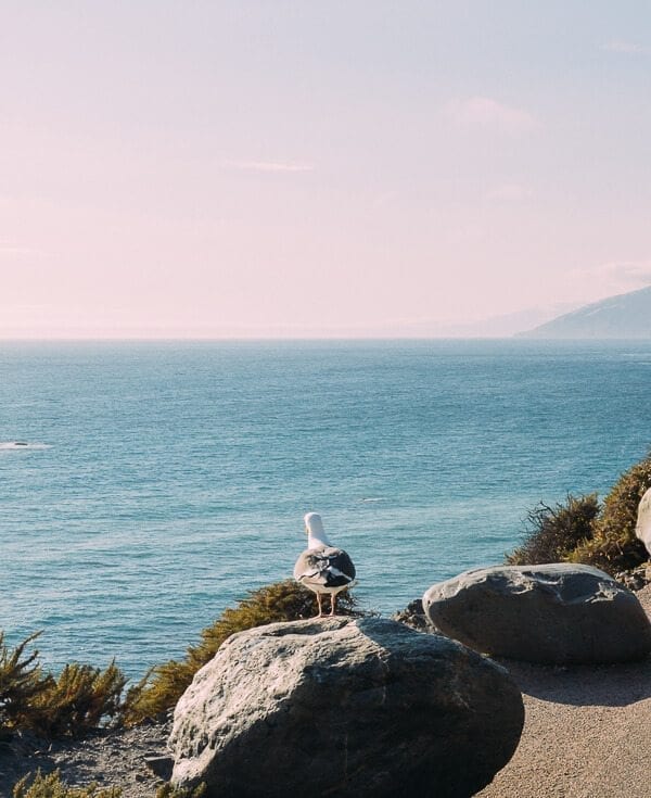 Pacific Coast Highway, by thewoksoflife.com