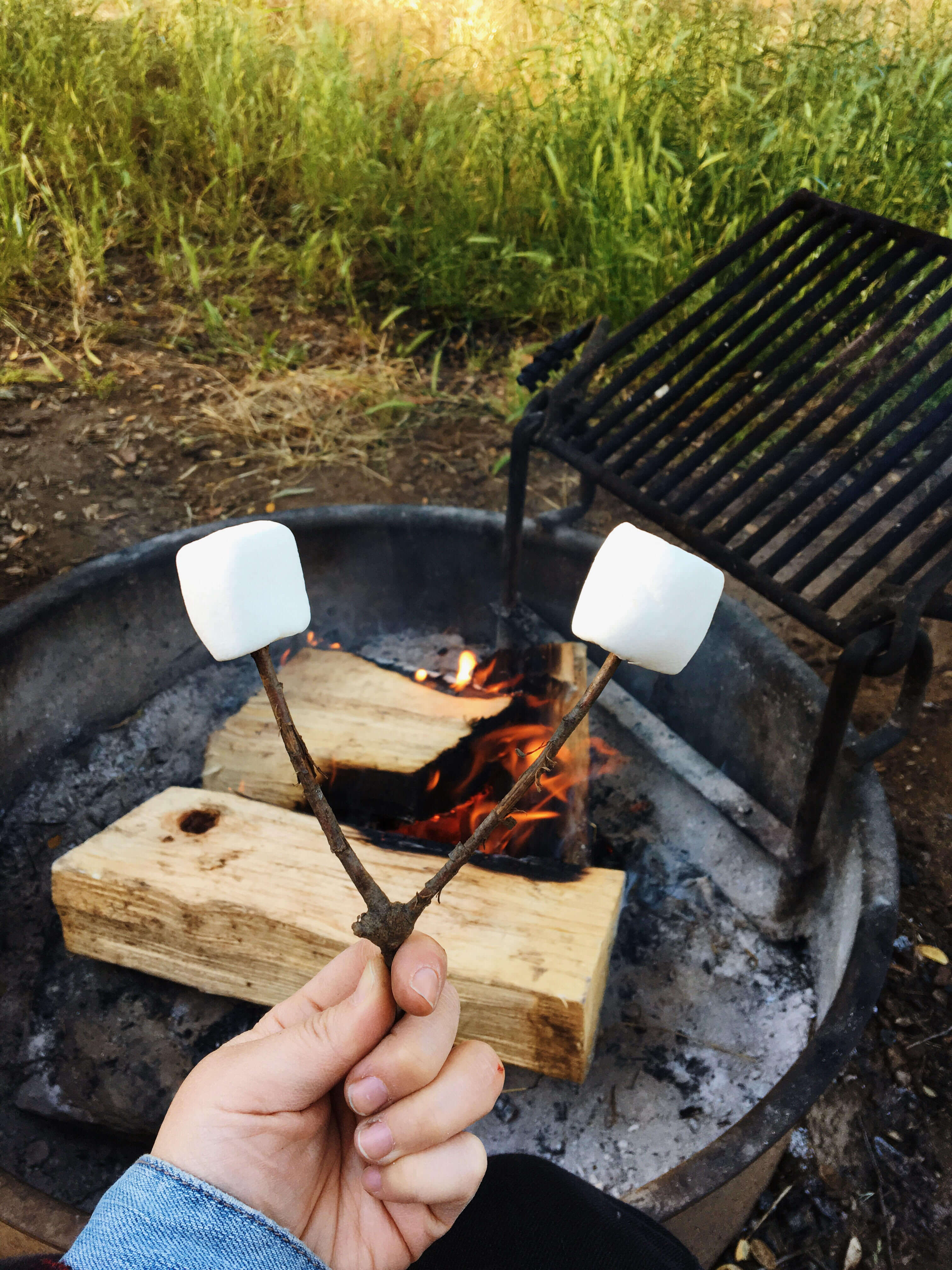 Processed with VSCO with m5 preset