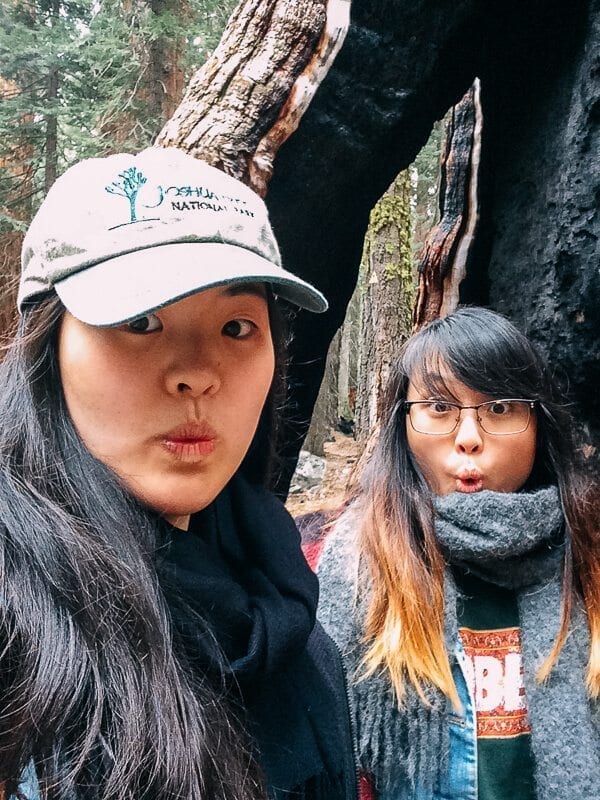 sequoia-national-park-19