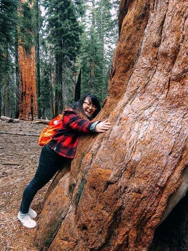 sequoia-national-park-20