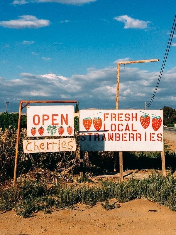 Strawberry Farm California