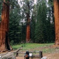 Sequoia National Park General Sherman
