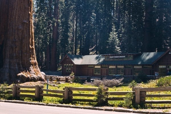 Giant Forest Museum