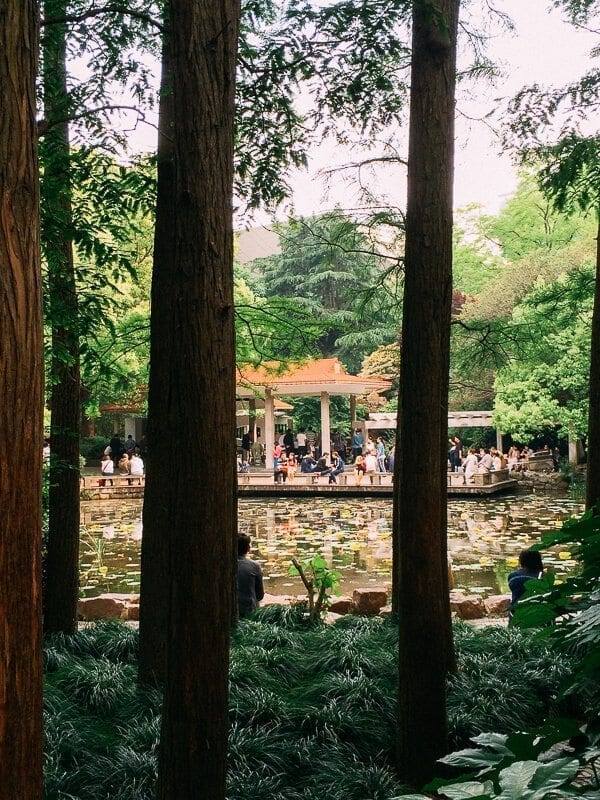 Seeking Love in Shanghai: The People’s Park Matchmaking Corner, by thewoksoflife.com