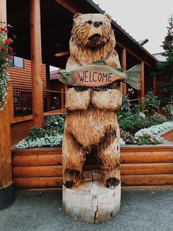 Bear Welcome Sign
