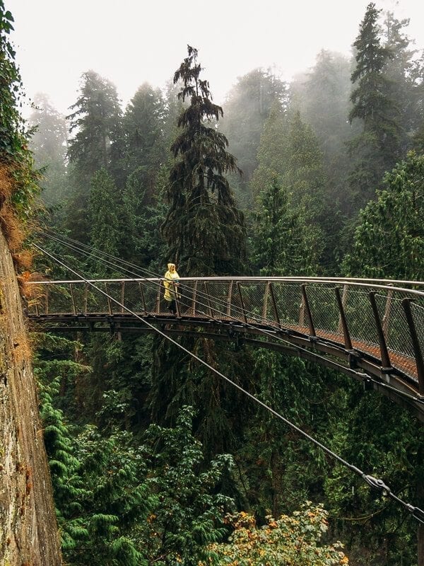 Capilano Suspension Bridge Park