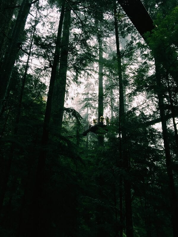 Capilano Suspension Bridge Park