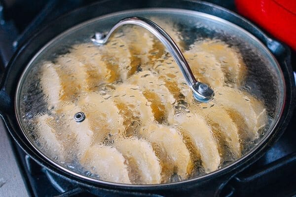 Gyoza cooking in pan