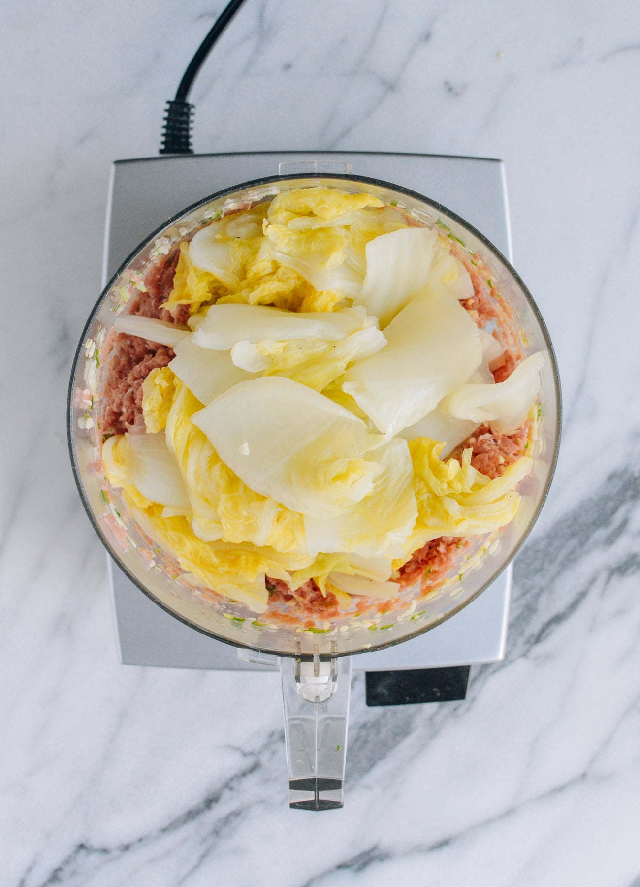 pork and blanched napa cabbage in food processor