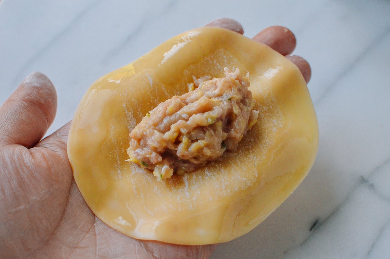 gyoza filling in middle of dumpling wrapper