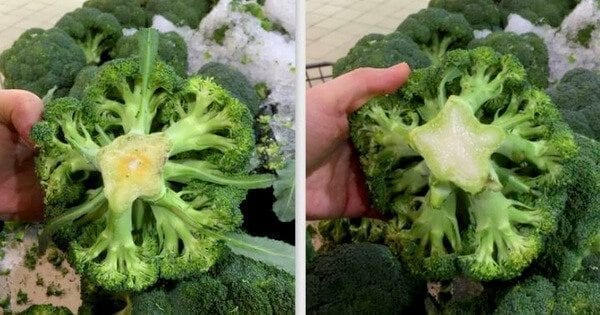 broccoli crowns