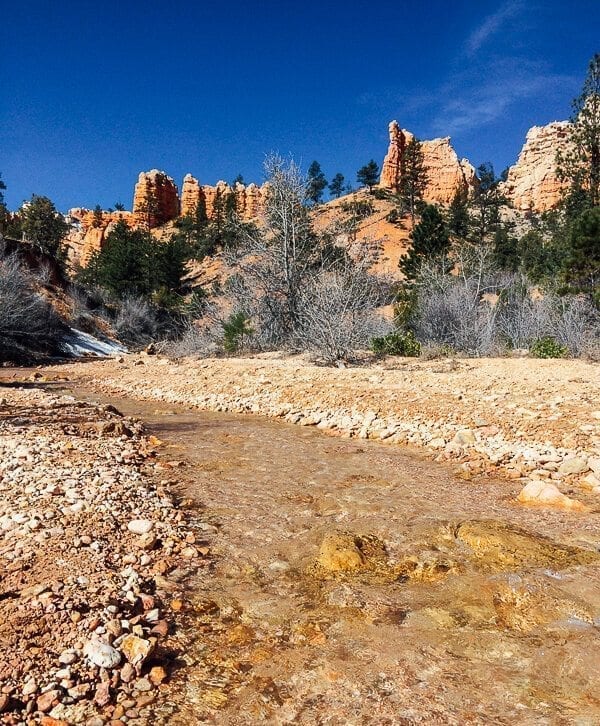 Bryce Canyon Mossy Cave
