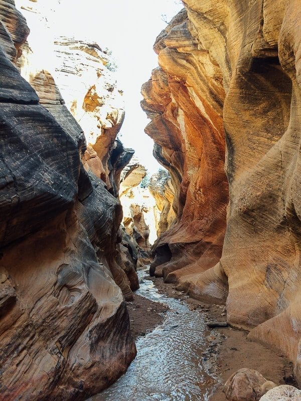 Willis Creek Narrows