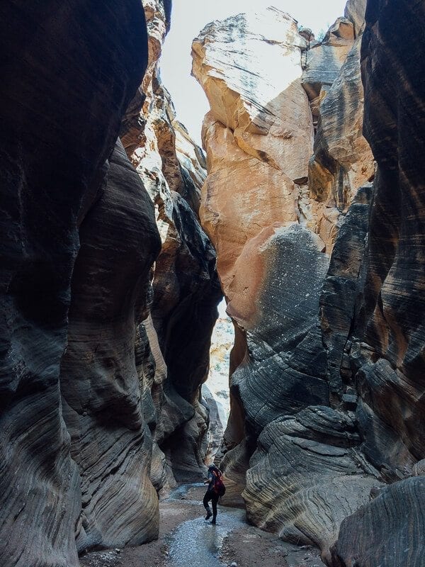 Willis Creek Narrows