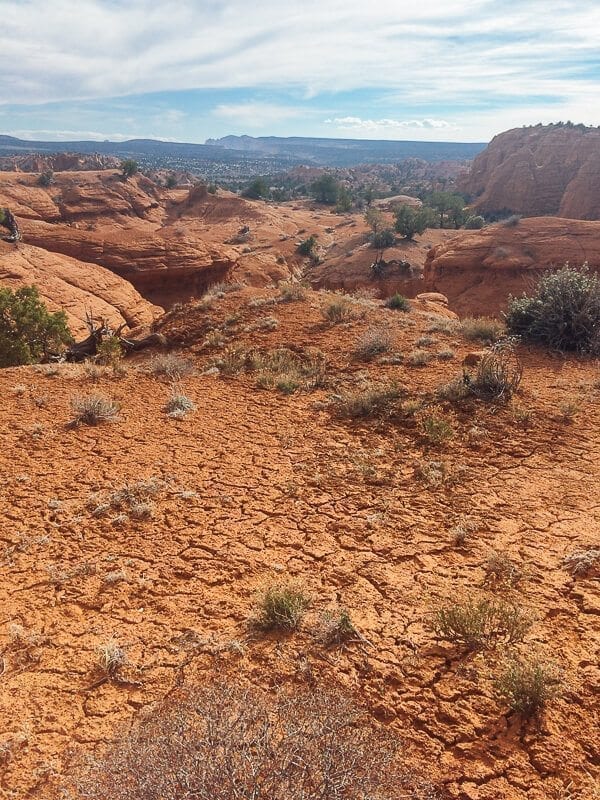 Angel's Palace Trail