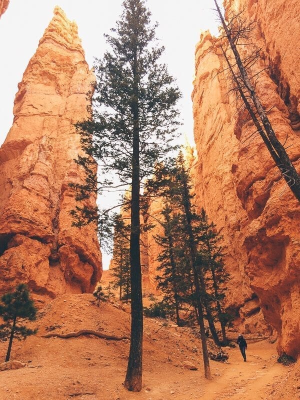 Bryce Canyon