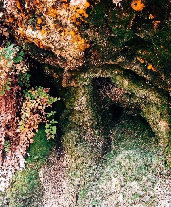 Zion hanging gardens