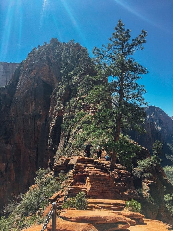 Angel's Landing, by thewoksoflife.com