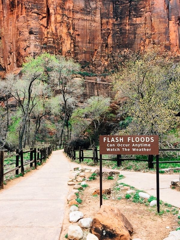 Zion Riverside Walk
