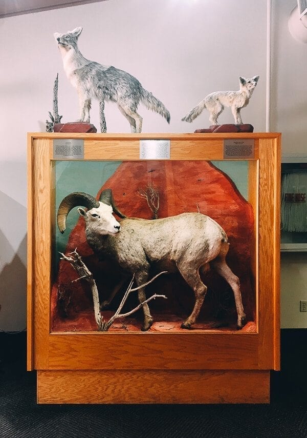 Valley of Fire State Park, by thewoksoflife.com