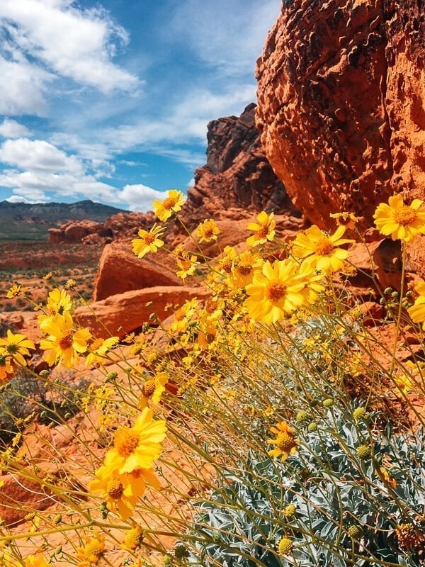 Valley of Fire State Park, by thewoksoflife.com