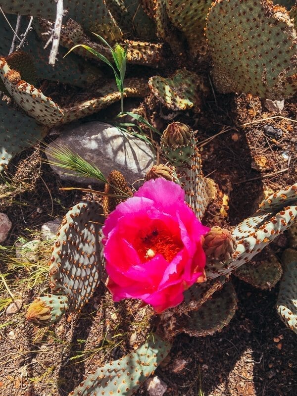 Valley of Fire State Park, by thewoksoflife.com