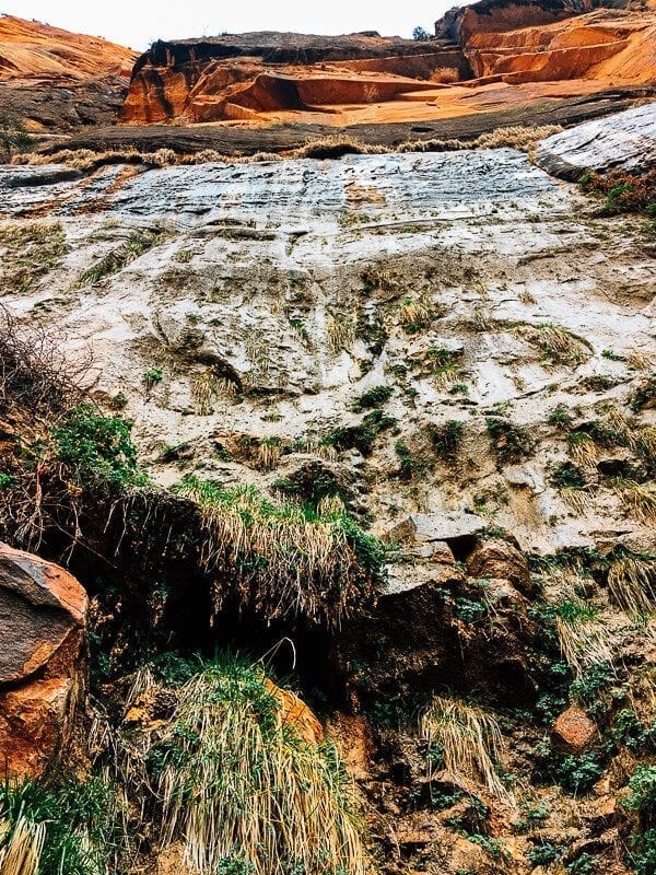 Zion hanging gardens