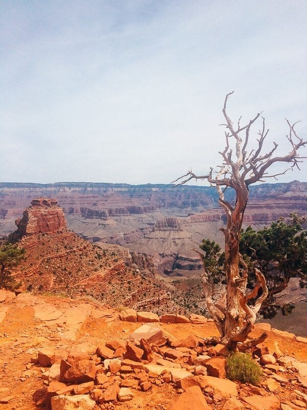 South Kaibab Trail, by thewoksoflife.com
