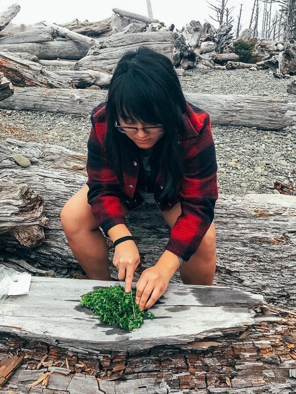 Camping Meals, by thewoksoflife.com