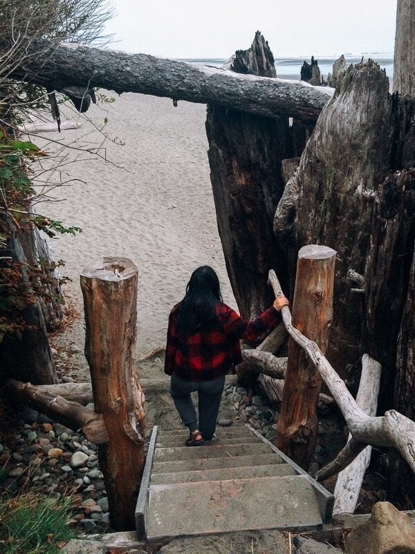 Where the Marmots Roam: Olympic National Park