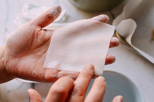 Assembling a Wonton, by thewoksoflife.com