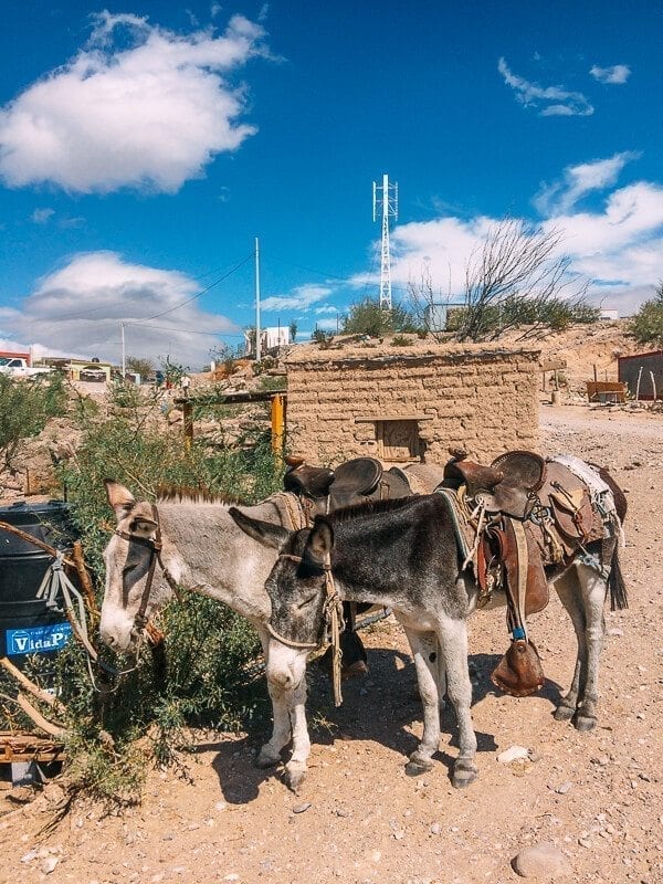 Mexico, Big Bend National Park - thewoksoflife.com