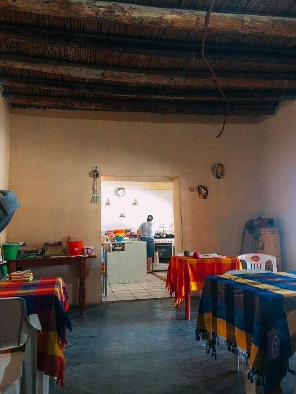 Big Bend National Park - thewoksoflife.com