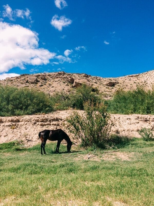 Spirit Horse Boquillas Canyon, Big Bend National Park - thewoksoflife.com