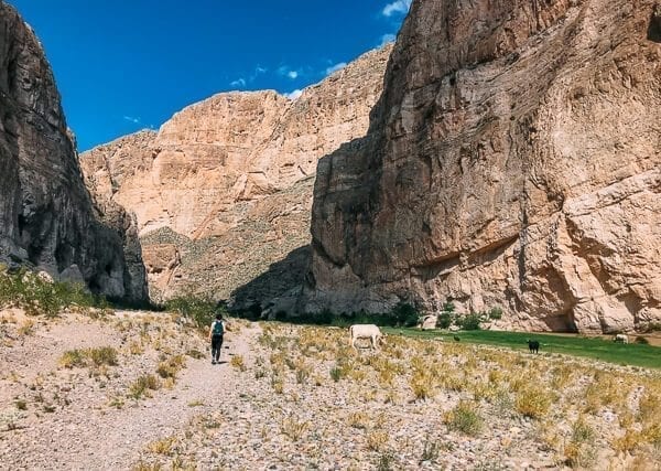 Boquillas Canyon, Big Bend National Park - thewoksoflife.com