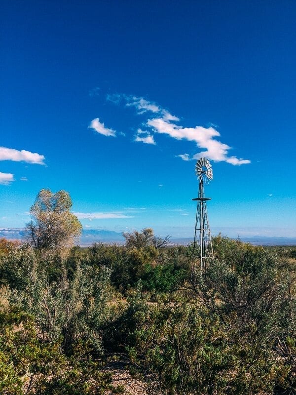 Big Bend National Park - thewoksoflife.com