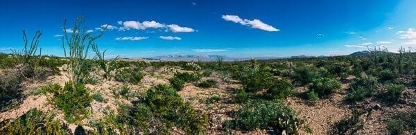 Big Bend National Park - thewoksoflife.com