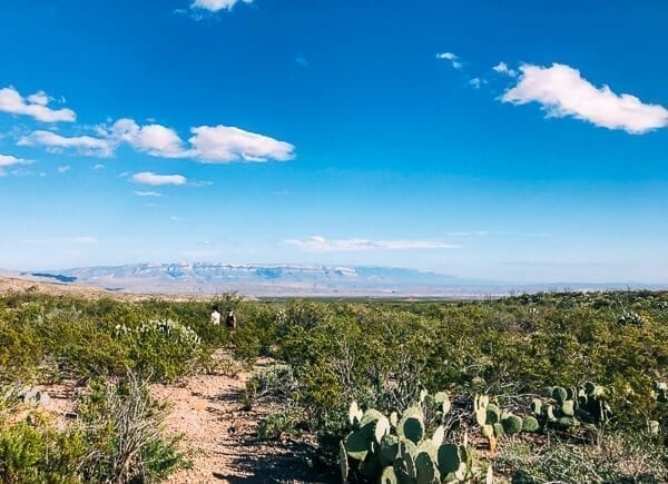 Big Bend National Park, by thewoksoflife.com