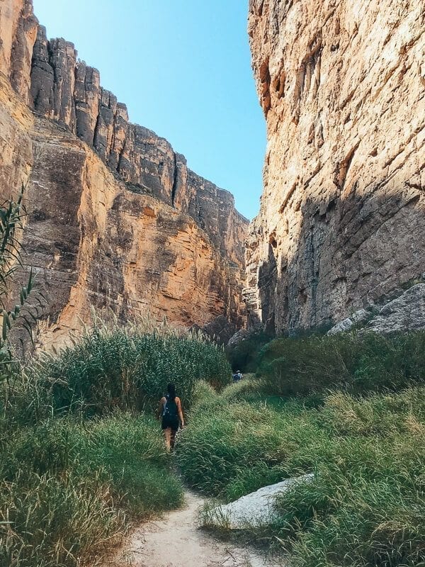 Big Bend National Park, by thewoksoflife.com