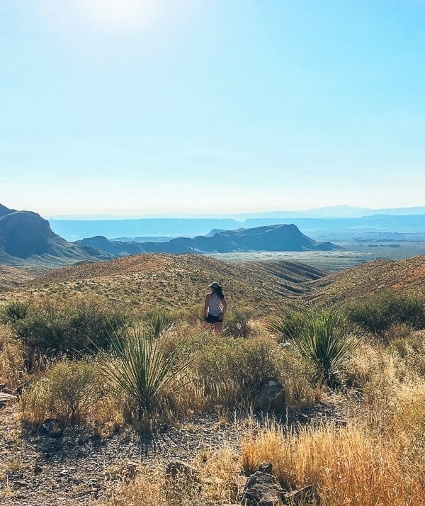 Big Bend National Park, by thewoksoflife.com