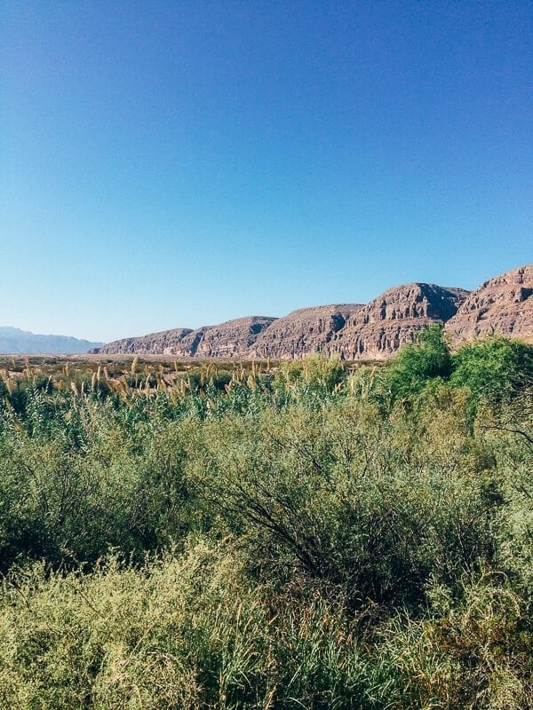 Big Bend National Park - thewoksoflife.com