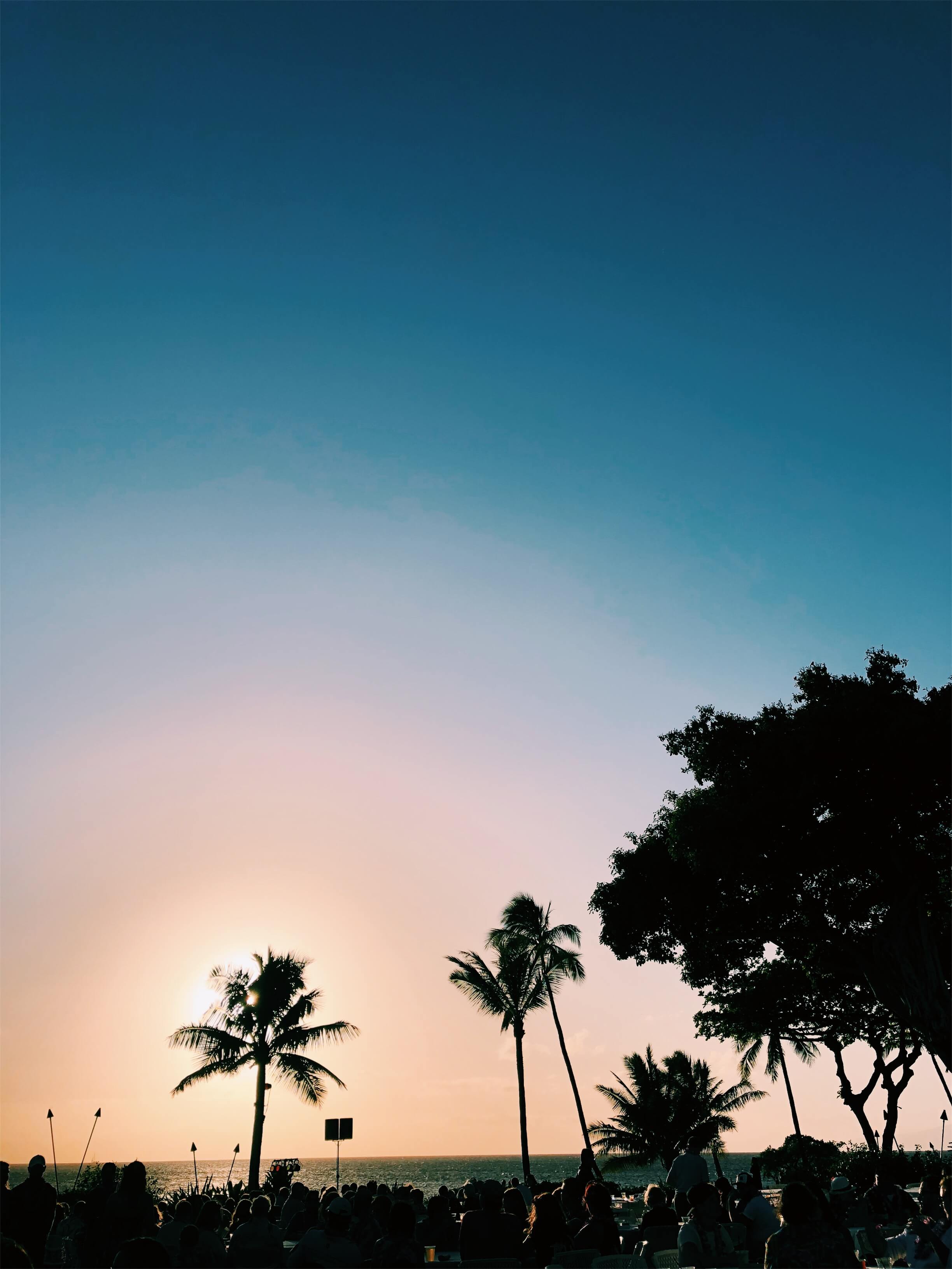 23 Things to Do in Maui, by thewoksoflife.com