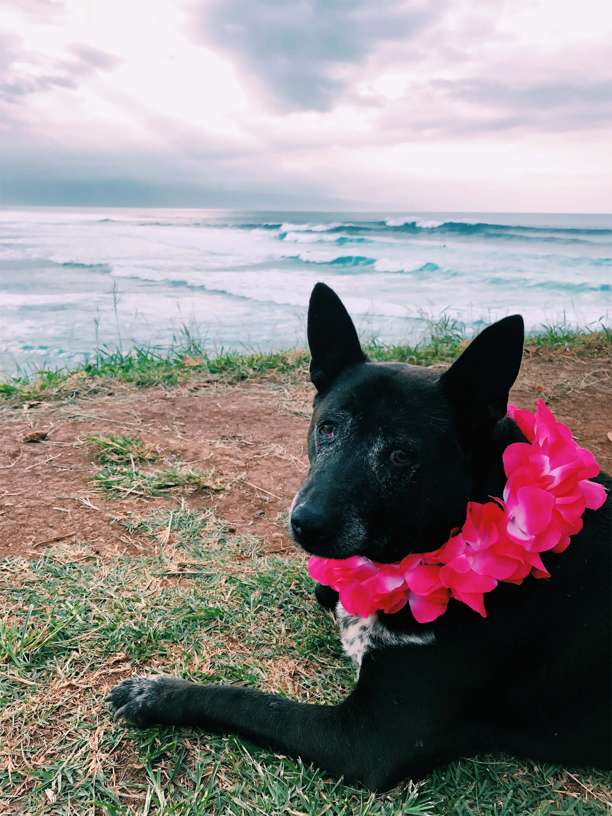 23 Things to Do in Maui, by thewoksoflife.com