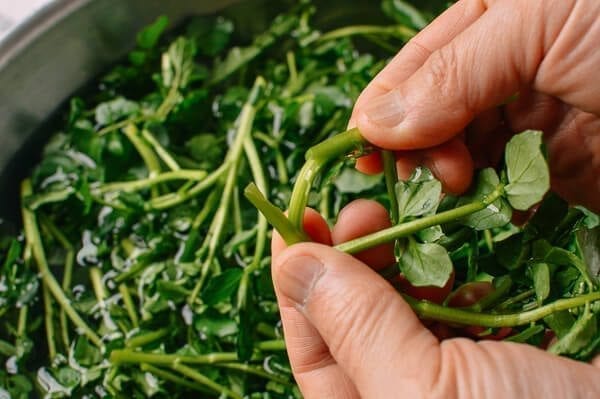 Chinese Watercress Soup with Pork Ribs (Sai Yeung Choy Tong), by thewoksoflife.com