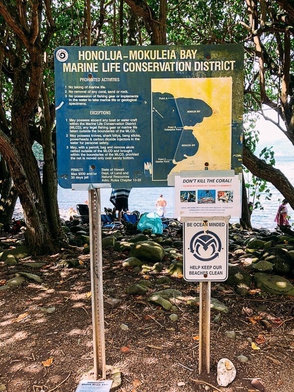 23 Things to Do in Maui, by thewoksoflife.com