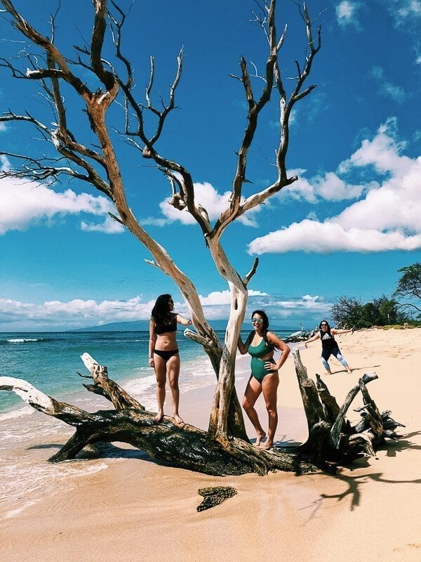 23 Things to Do in Maui, by thewoksoflife.com